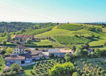 Vista - Attività Commerciale piazza Roma, Cortandone - foto 4