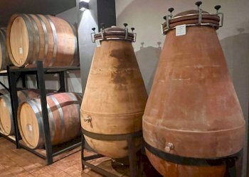 Magazzino - Attività Commerciale piazza Roma, Cortandone - foto 13