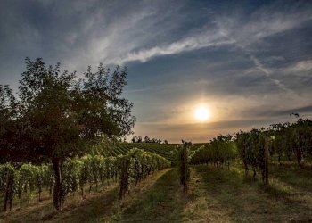 Terreno - Attività Commerciale piazza Roma, Cortandone - foto 15