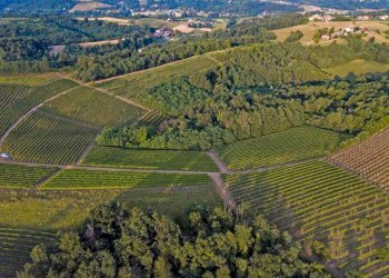 Vista - Attività Commerciale piazza Roma, Cortandone - foto 16