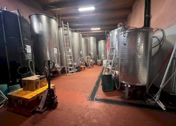 Interno non residenziale - Attività Commerciale piazza Roma, Cortandone - foto 30