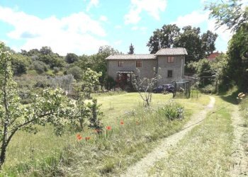Terreno - Rustico strada Fossaccio, Viterbo - foto 4