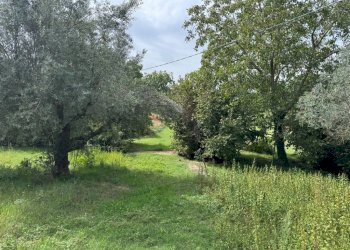 Terreno - Rustico strada Fossaccio, Viterbo - foto 12