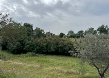 Terreno - Rustico strada Fossaccio, Viterbo - foto 16