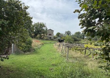 Terreno - Rustico strada Fossaccio, Viterbo - foto 36
