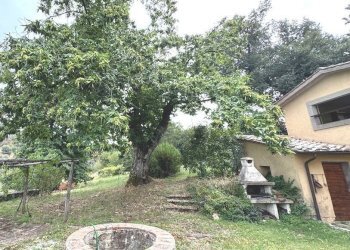 Giardino - Rustico strada Fossaccio, Viterbo - foto 37