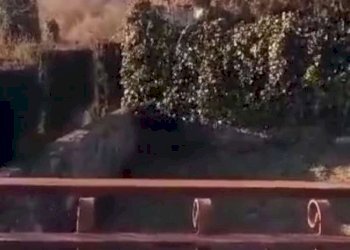 64440b33-d129-4453-8a22-cde941baacd322 - Casale contrada Manziano, snc, Parrano - foto 24