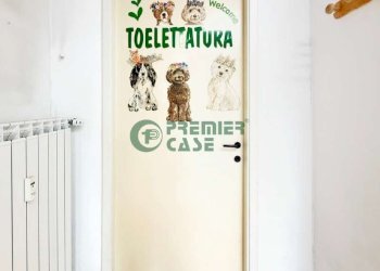 (fileminimizer) image00022 - Shop largo Sempione, 178, Torino - photo 20