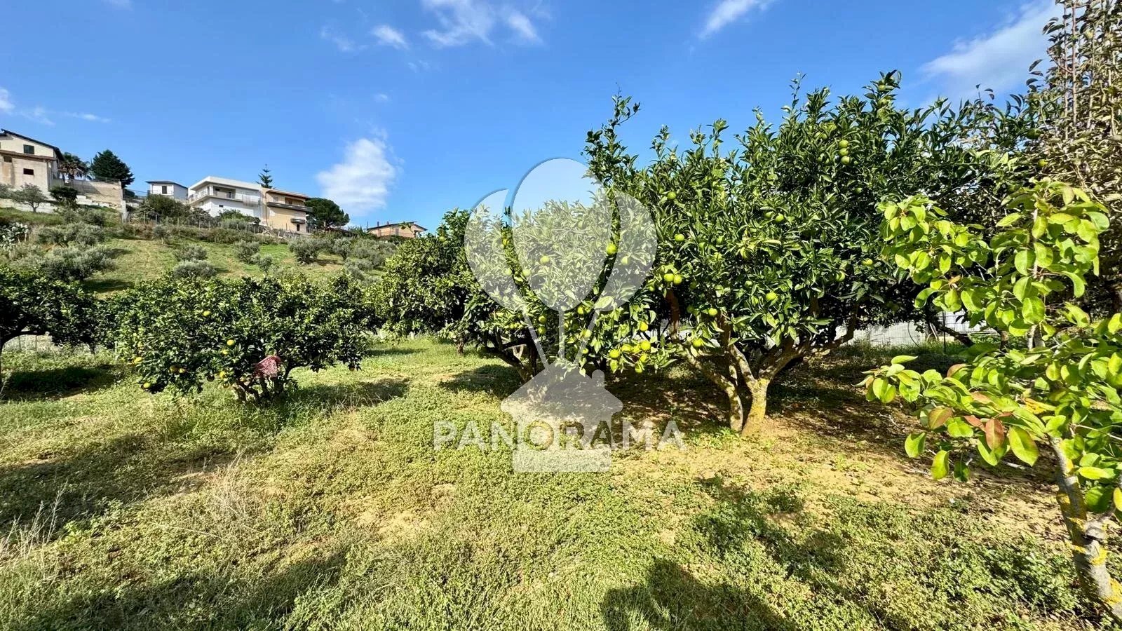 Terreno agricolo Contrada Timpi Rossi, Alcamo - foto 1