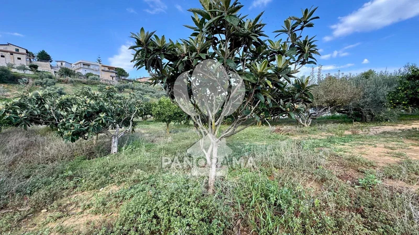 Terreno agricolo Contrada Timpi Rossi, Alcamo - foto 3
