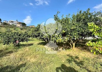 Terreno agricolo Contrada Timpi Rossi, Alcamo - foto 1