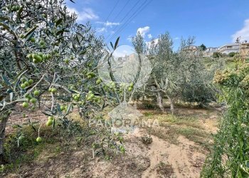 Terreno agricolo Contrada Timpi Rossi, Alcamo - foto 5