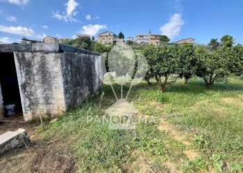Terreno agricolo Contrada Timpi Rossi, Alcamo - foto 6