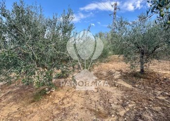 Terreno agricolo Contrada Timpi Rossi, Alcamo - foto 7
