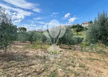 Terreno agricolo Contrada Timpi Rossi, Alcamo - foto 9