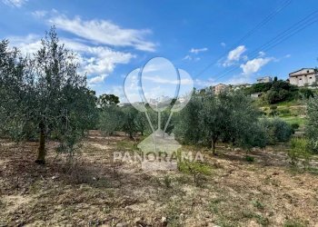 Terreno agricolo Contrada Timpi Rossi, Alcamo - foto 10