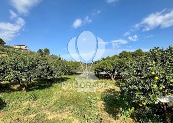 Terreno agricolo Contrada Timpi Rossi, Alcamo - foto 11