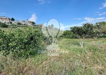 Terreno agricolo Contrada Timpi Rossi, Alcamo - foto 12