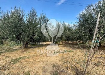 Terreno agricolo Contrada Timpi Rossi, Alcamo - foto 13