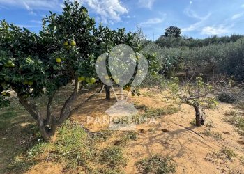 Terreno agricolo Contrada Timpi Rossi, Alcamo - foto 14