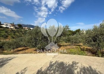 Terreno agricolo Contrada Timpi Rossi, Alcamo - foto 15