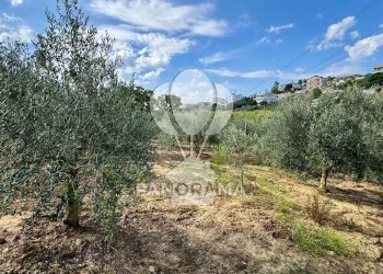Terreno agricolo Contrada Timpi Rossi, Alcamo - foto 16