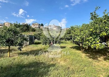 Terreno agricolo Contrada Timpi Rossi, Alcamo - foto 18