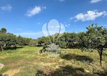 Terreno agricolo Contrada Timpi Rossi, Alcamo - foto 19