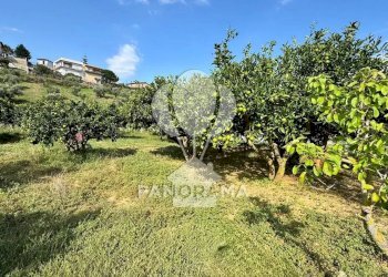 Terreno agricolo Contrada Timpi Rossi, Alcamo - foto 20