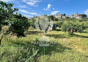 Terreno agricolo Contrada Timpi Rossi, Alcamo - foto 21