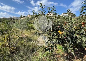 Terreno agricolo Contrada Timpi Rossi, Alcamo - foto 24