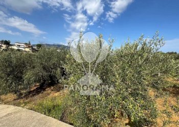 Terreno agricolo Contrada Timpi Rossi, Alcamo - foto 26