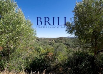 Villa Viale Cugnana, Olbia - foto 30