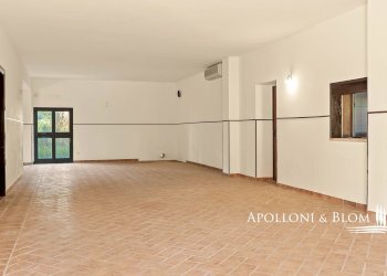 Casale Piazza Vittorio Emanuele II San Giovanni D'asso, 20, Montalcino - photo 31