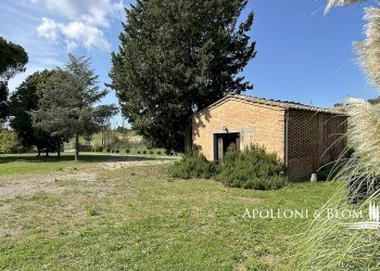 Casale Piazza Vittorio Emanuele II San Giovanni D'asso, 20, Montalcino - photo 40