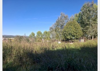 Terreno agricolo Asti - foto 3