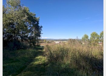 Terreno agricolo Asti - foto 4