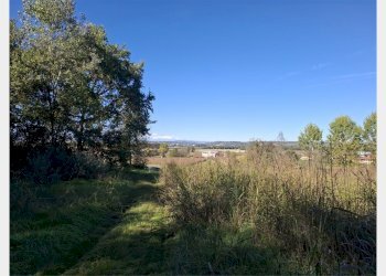 Agricultural land Asti - photo 4