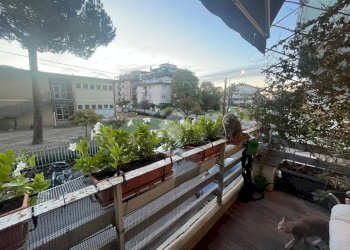 Quadrilocale . Via Taddei, Viareggio - foto 5