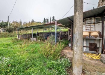 Giardino - Villa contrada fratulla, Piazza Armerina - foto 17