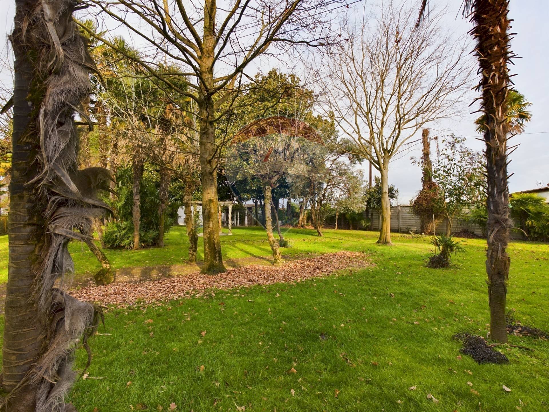 Giardino - Villa Via Cascina Casotti
 
22, Cava Manara - photo 2