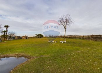 Giardino - Villa Via Cascina Casotti
 
22, Cava Manara - foto 10