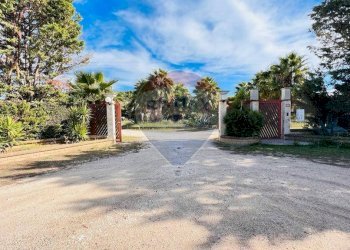 ingresso - Villa Località Palude Mezzane
 
SNC, Vieste - foto 4