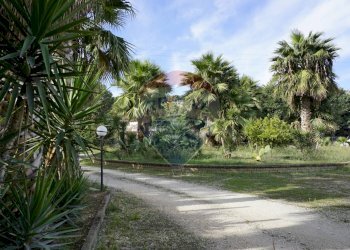 terreno - Villa Località Palude Mezzane
 
SNC, Vieste - foto 22