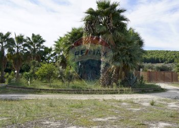 terreno - Villa Località Palude Mezzane
 
SNC, Vieste - foto 23