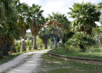 terreno - Villa Località Palude Mezzane
 
SNC, Vieste - foto 24