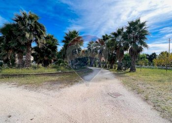 terreno - Villa Località Palude Mezzane
 
SNC, Vieste - foto 27