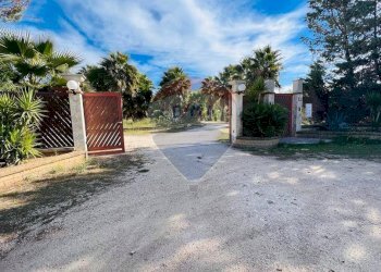 ingresso - Villa Località Palude Mezzane
 
SNC, Vieste - foto 28