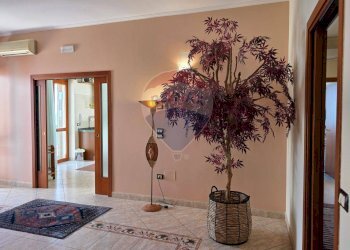 Hall / corridoio - Appartamento Lungomare Enrico Mattei
 
22, Vieste - foto 3