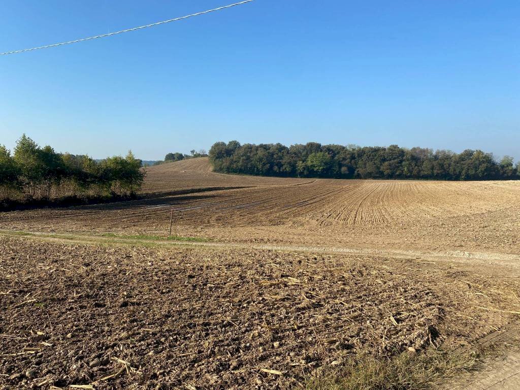 Terreno - Terreno agricolo via dei Partigiani, 5/a, Valeggio sul Mincio - foto 1